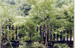 千葉県千葉市S様邸