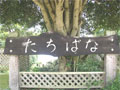 たちばな造園入り口目印